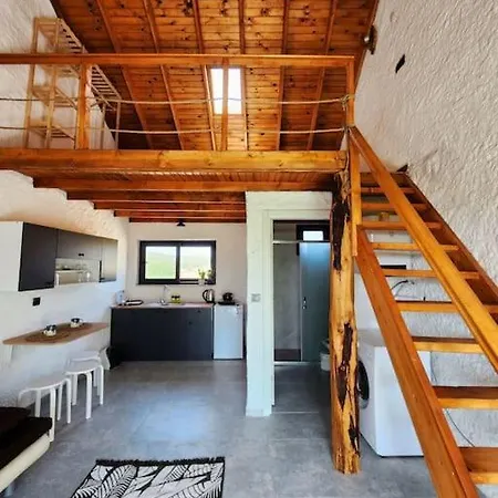 Case de vacanță Efil